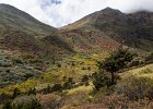 Bhutan-010