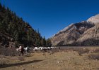 Our pack horses now travelling away from Phoksumdo
