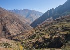 Terraced fields near Juphal, above the Suli Gaad valley